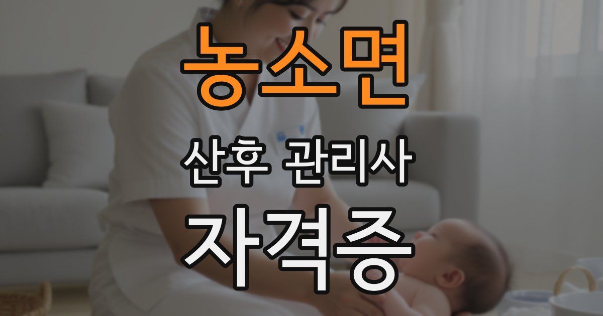 농소면 산후 관리사 자격증