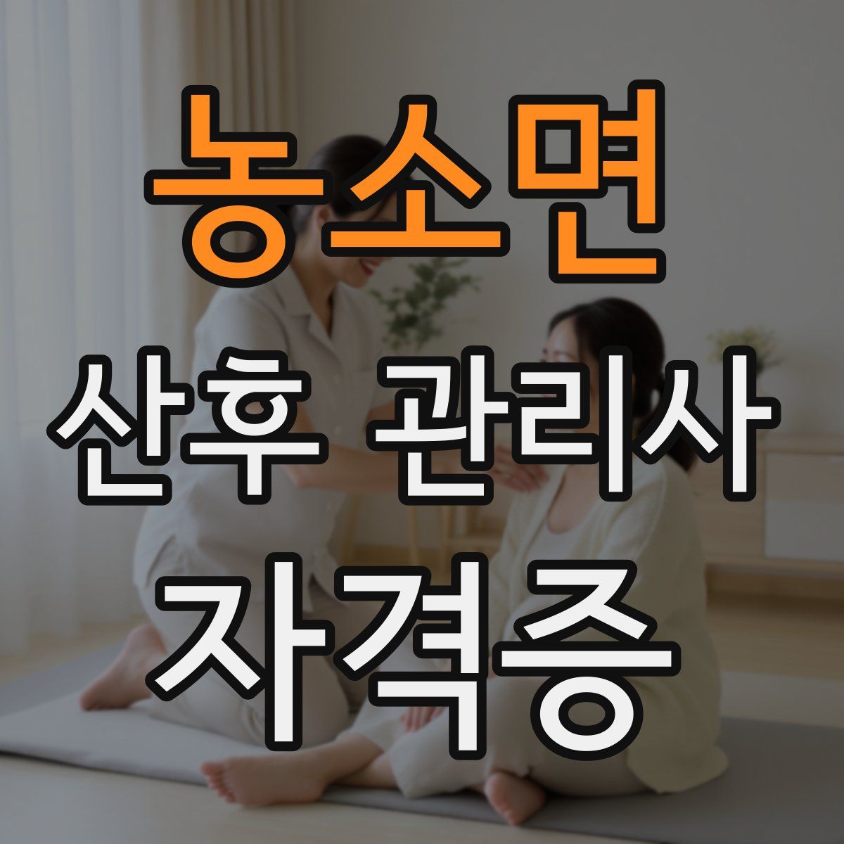 농소면 산후 관리사 자격증