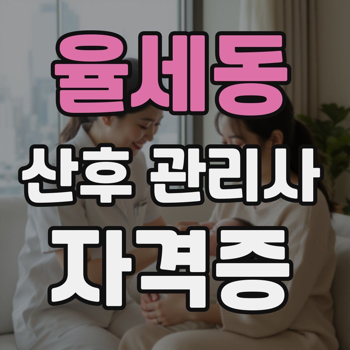율세동 산후 관리사 자격증 시험 대비보다 현장 대비가 더 중요한 이유