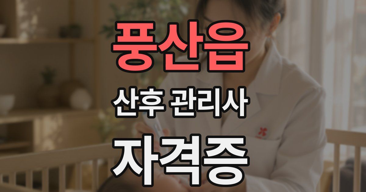 풍산읍 산후 관리사 자격증