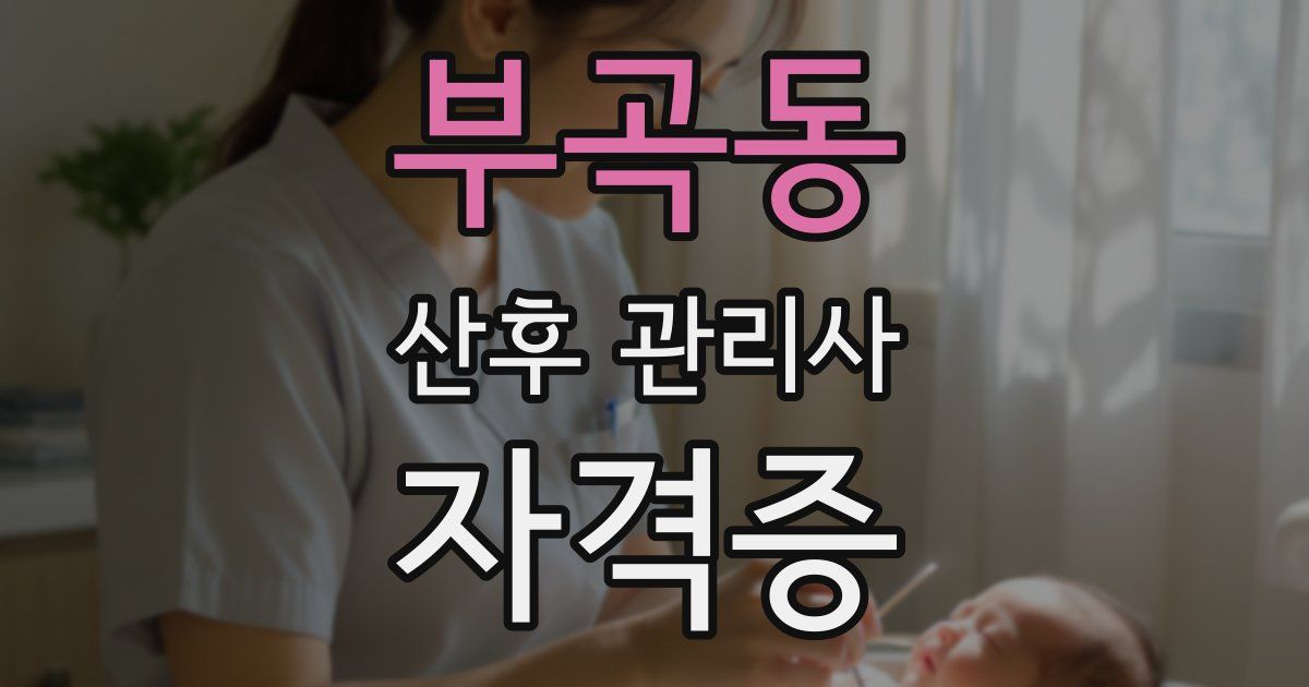 부곡동 산후 관리사 자격증
