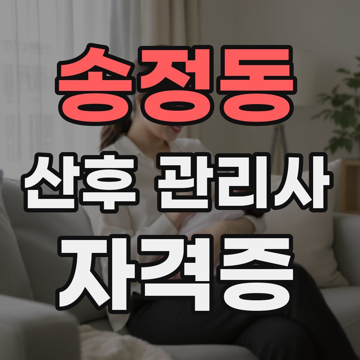 송정동 산후 관리사 자격증