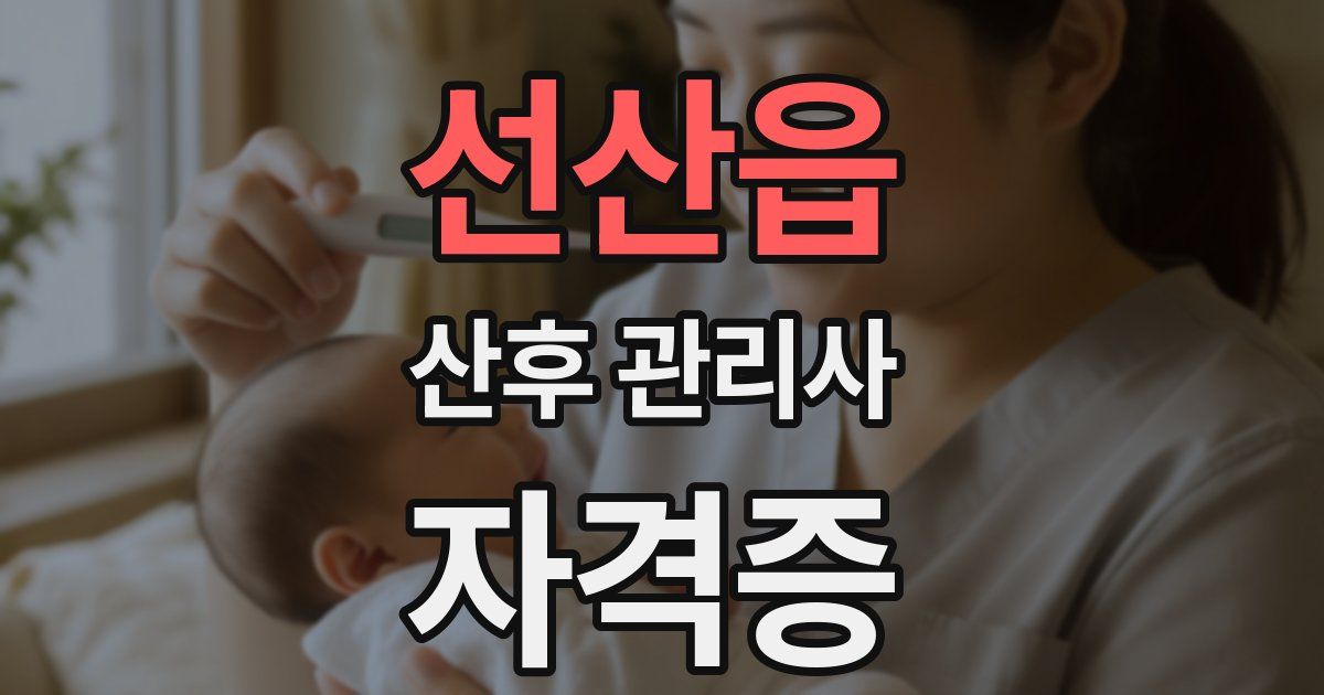선산읍 산후 관리사 자격증