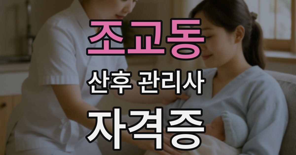 조교동 산후 관리사 자격증