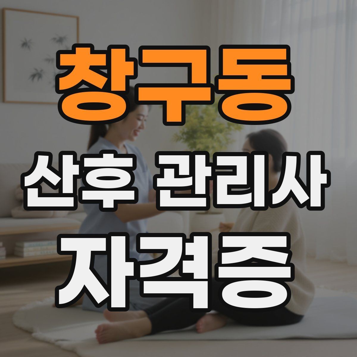 창구동 산후 관리사 자격증 산후조리 식사 준비 범위 정리