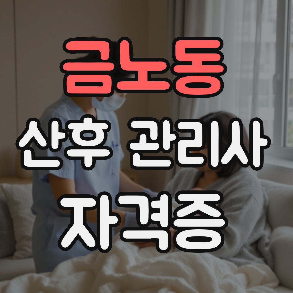 금노동 산후 관리사 자격증
