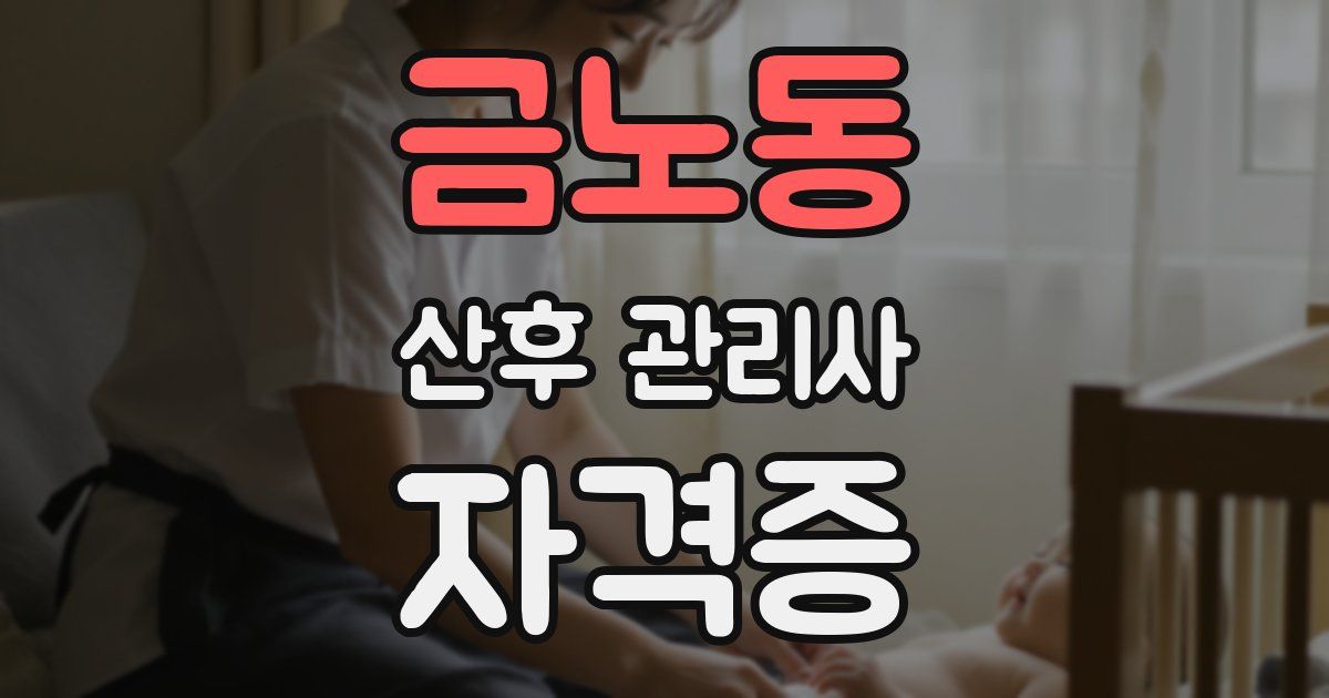 금노동 산후 관리사 자격증
