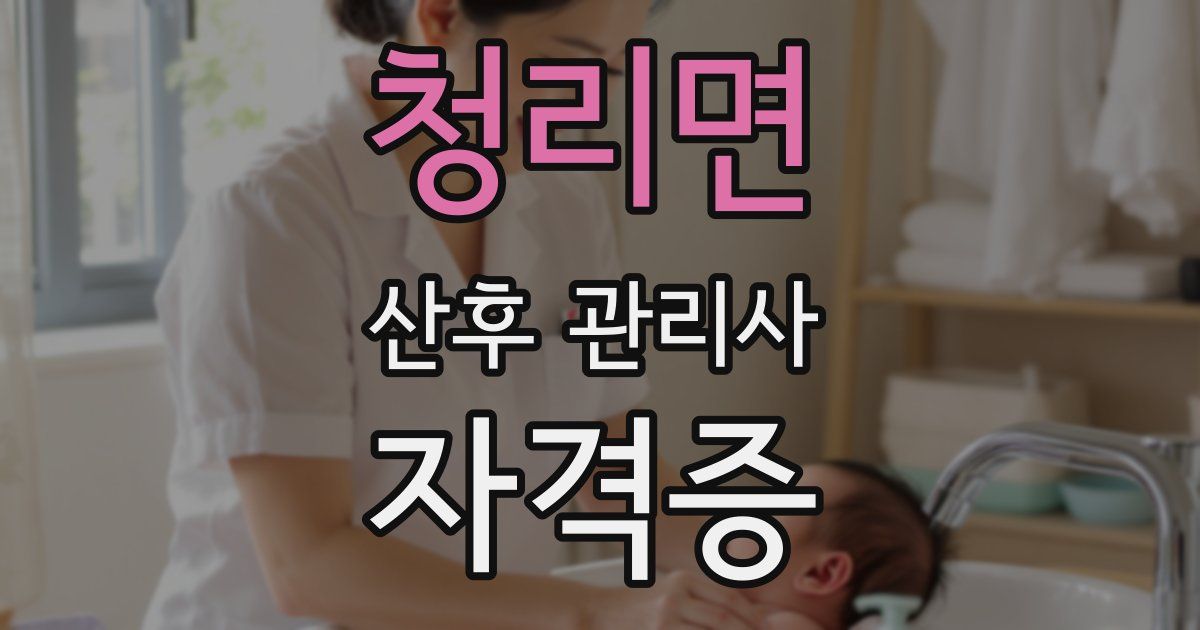 청리면 산후 관리사 자격증