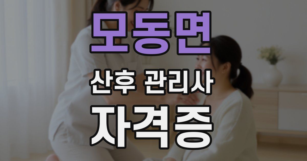 모동면 산후 관리사 자격증