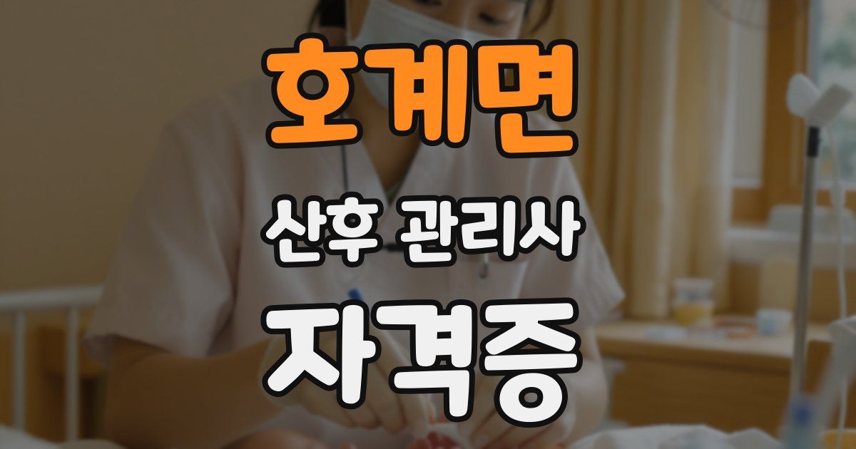 호계면 산후 관리사 자격증