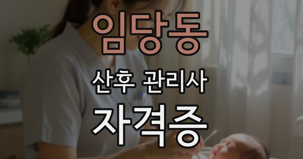 임당동 산후 관리사 자격증