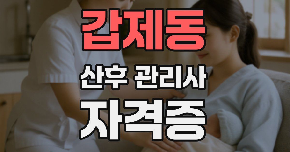 갑제동 산후 관리사 자격증