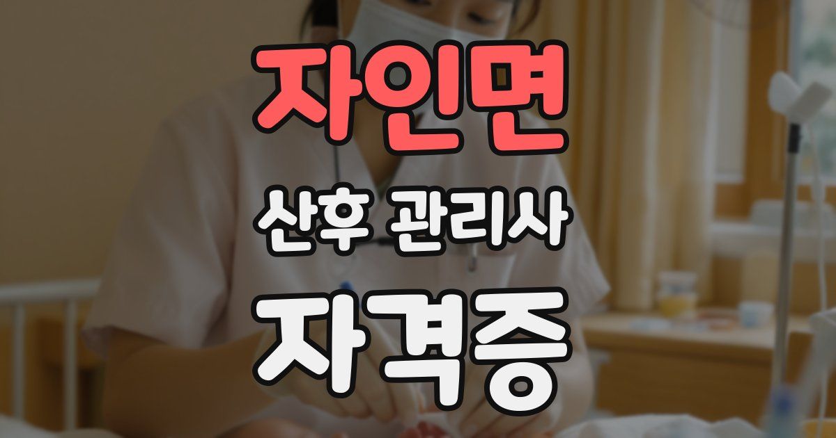 자인면 산후 관리사 자격증