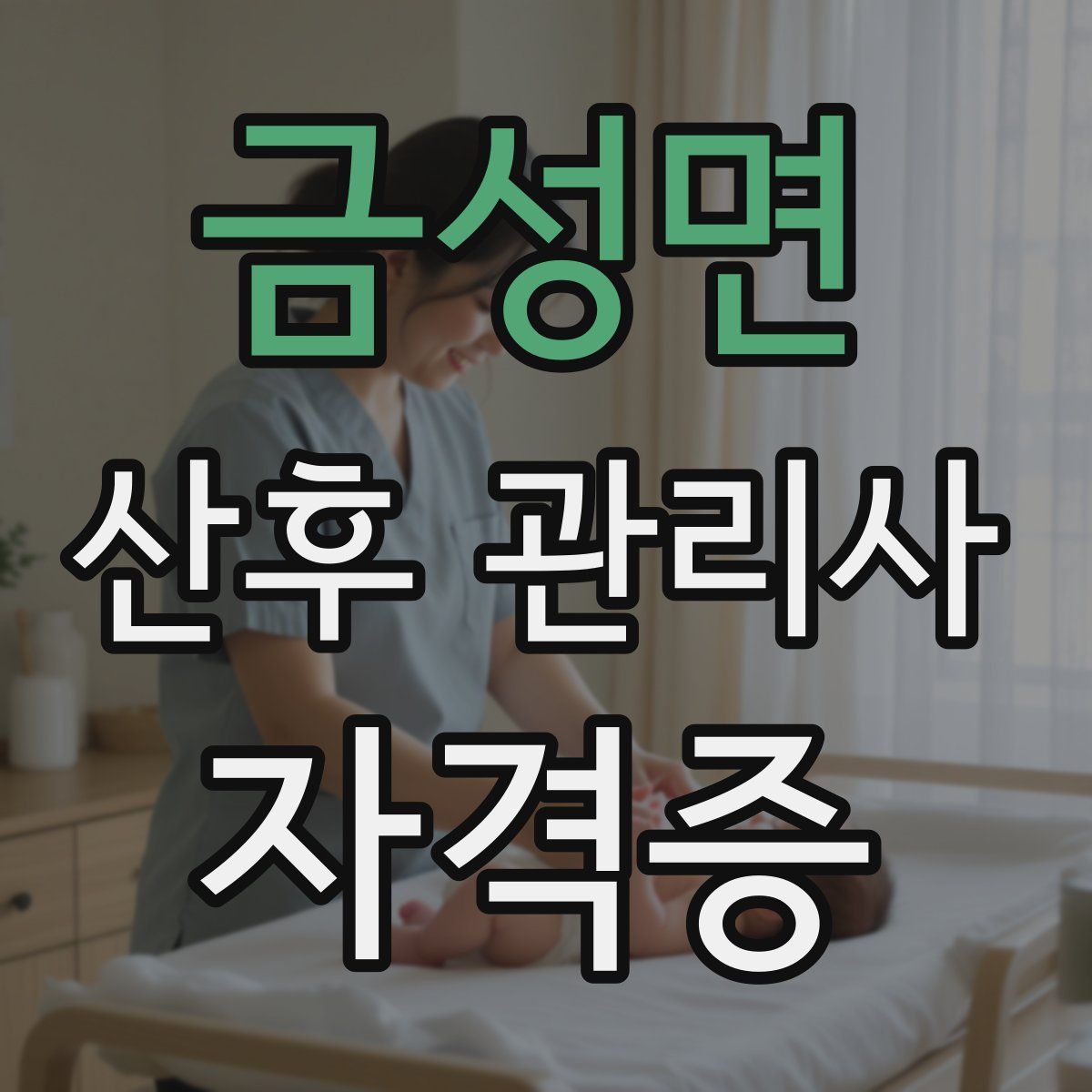 금성면 산후 관리사 자격증