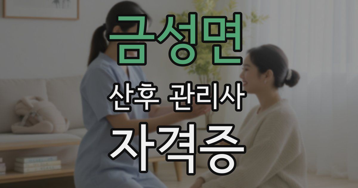 금성면 산후 관리사 자격증