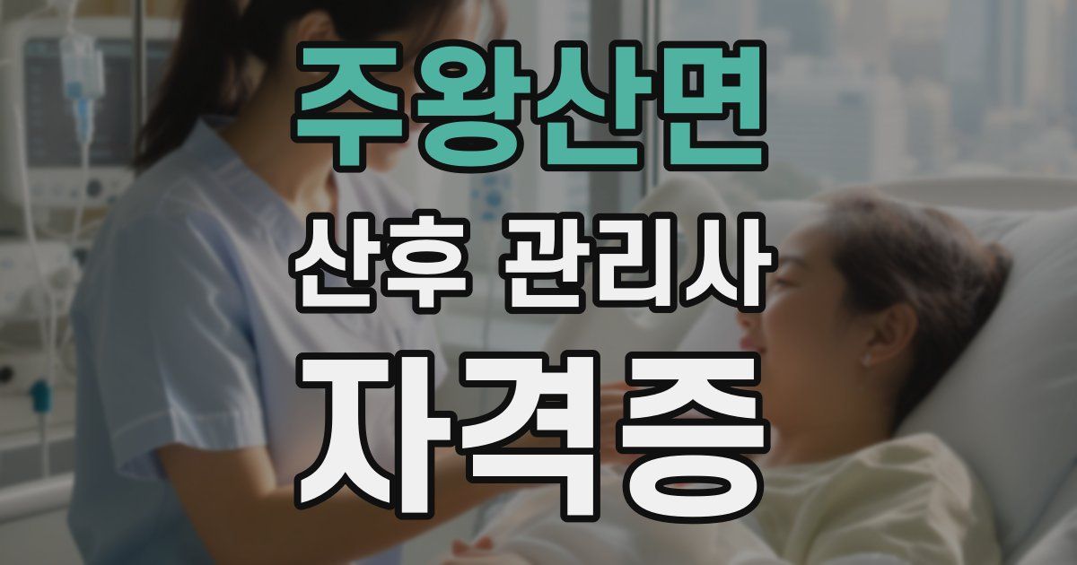 주왕산면 산후 관리사 자격증