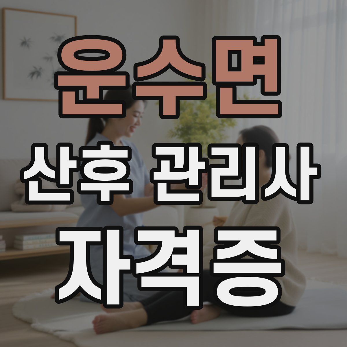 운수면 산후 관리사 자격증