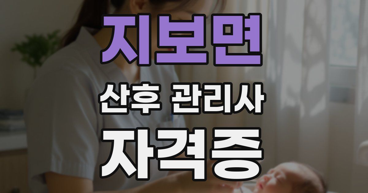 지보면 산후 관리사 자격증