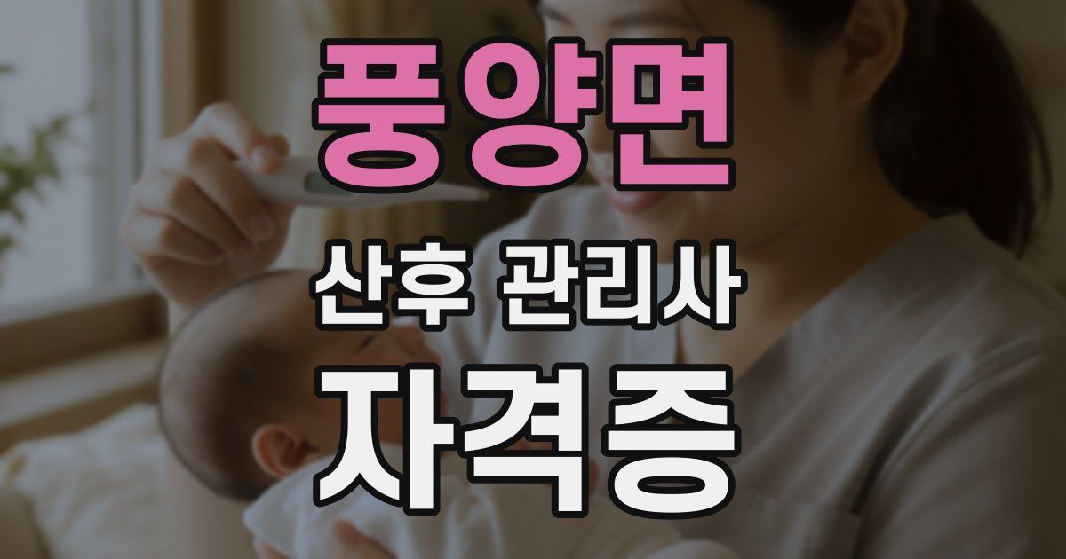 풍양면 산후 관리사 자격증