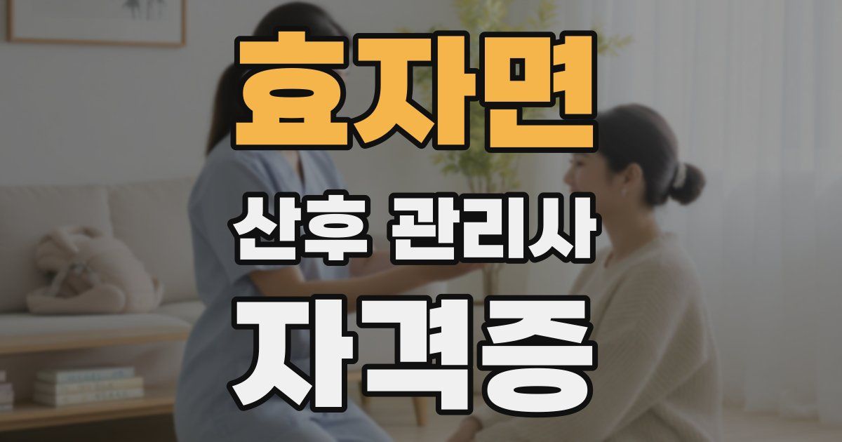 효자면 산후 관리사 자격증
