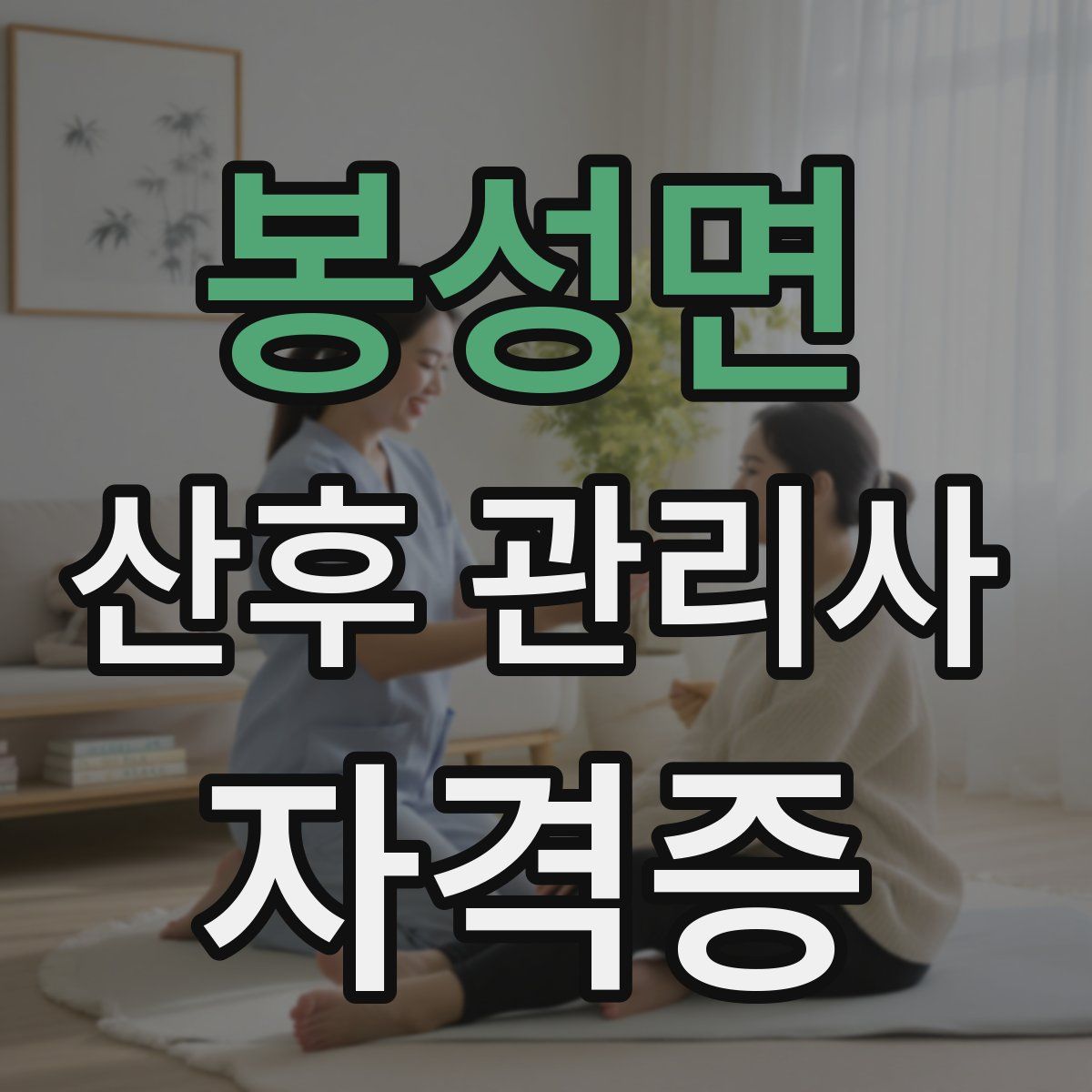 봉성면 산후 관리사 자격증
