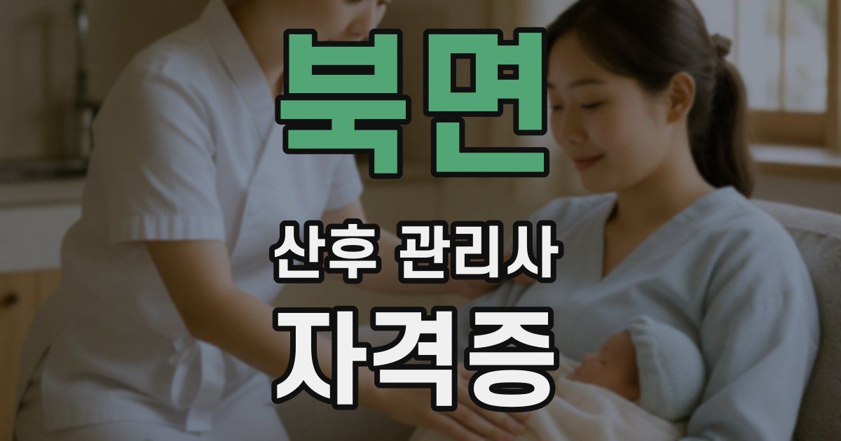 북면 산후 관리사 자격증