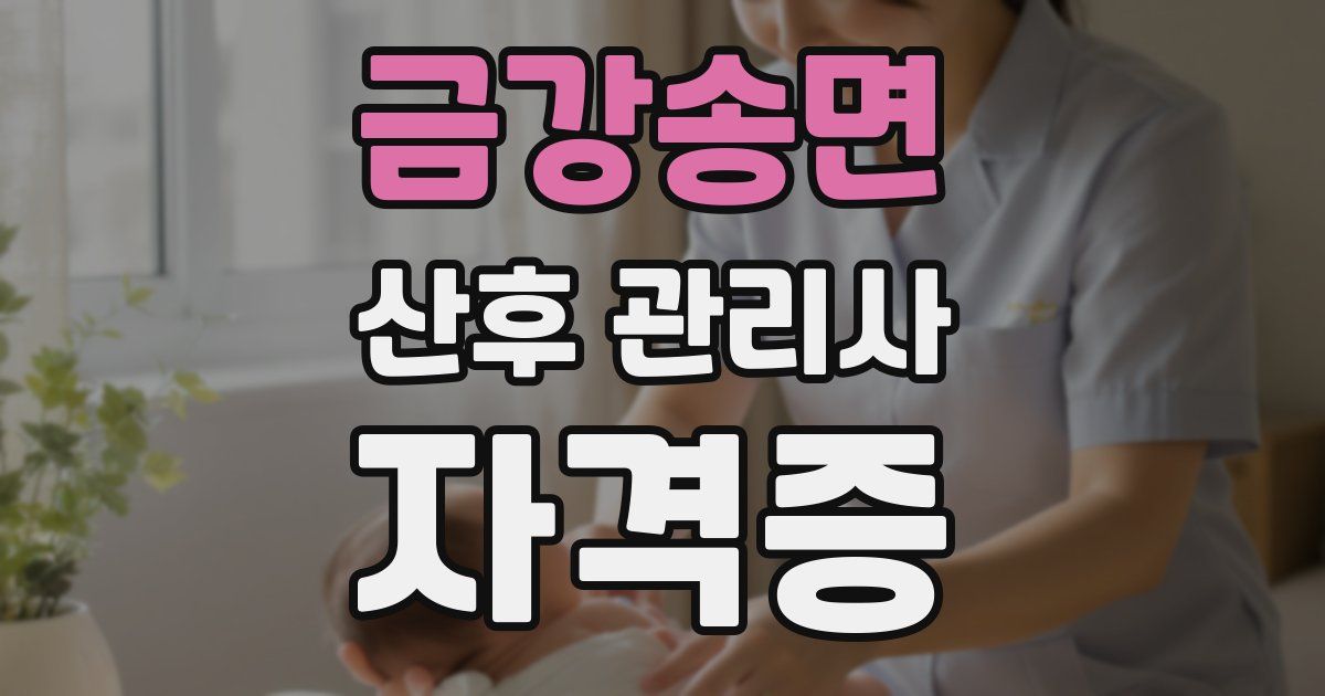 금강송면 산후 관리사 자격증