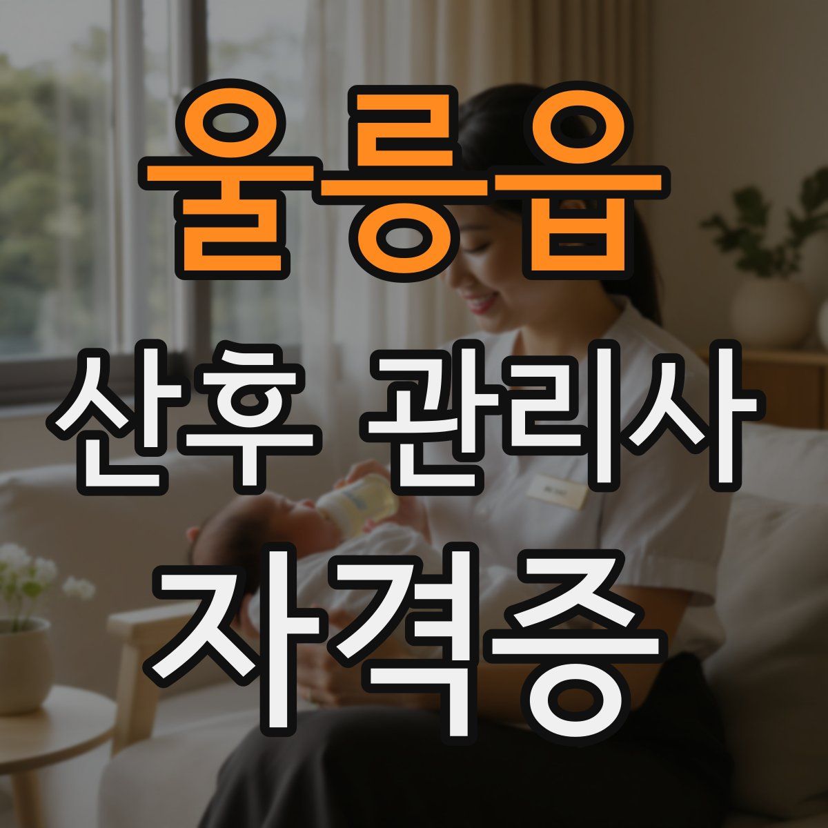 울릉읍 산후 관리사 자격증