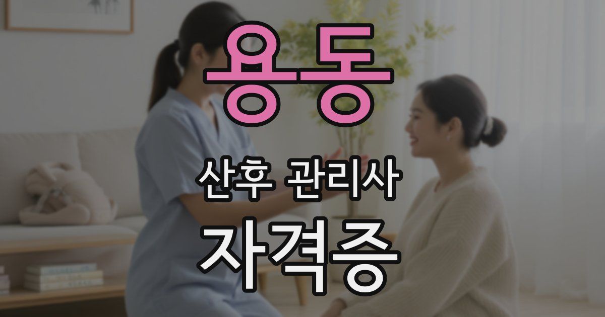 용동 산후 관리사 자격증