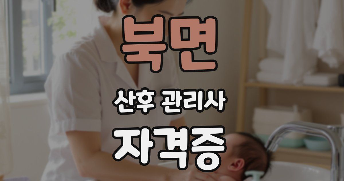 북면 산후 관리사 자격증