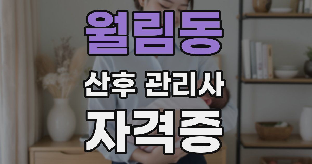 월림동 산후 관리사 자격증