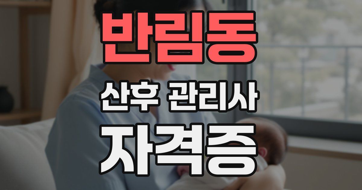 반림동 산후 관리사 자격증