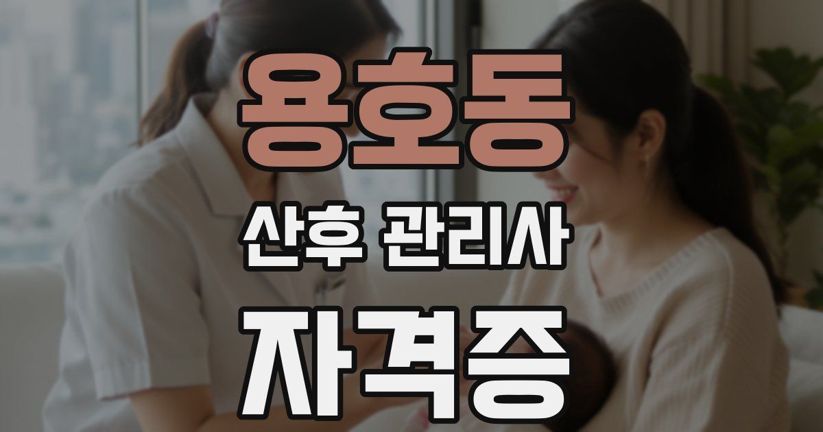 용호동 산후 관리사 자격증