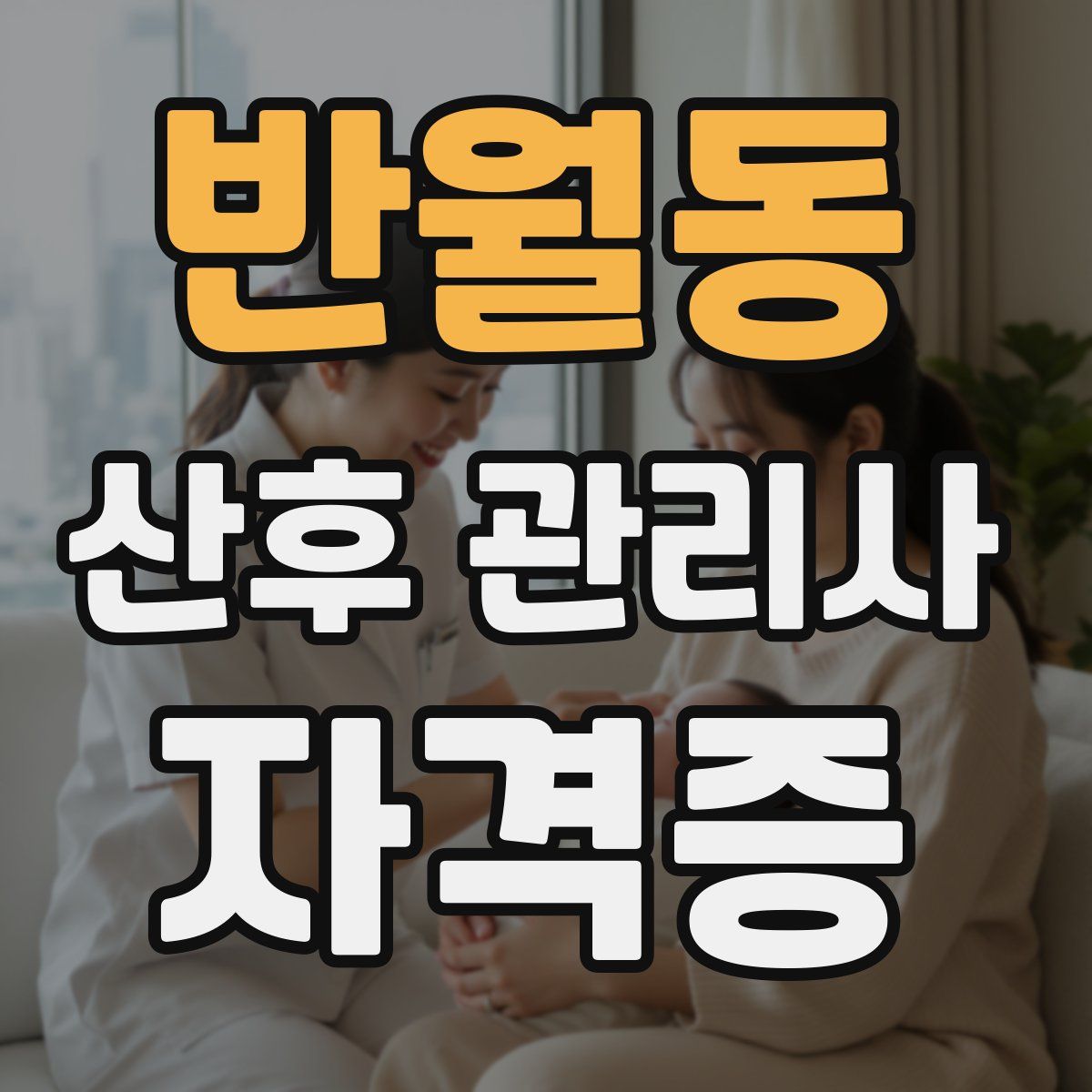 반월동 산후 관리사 자격증