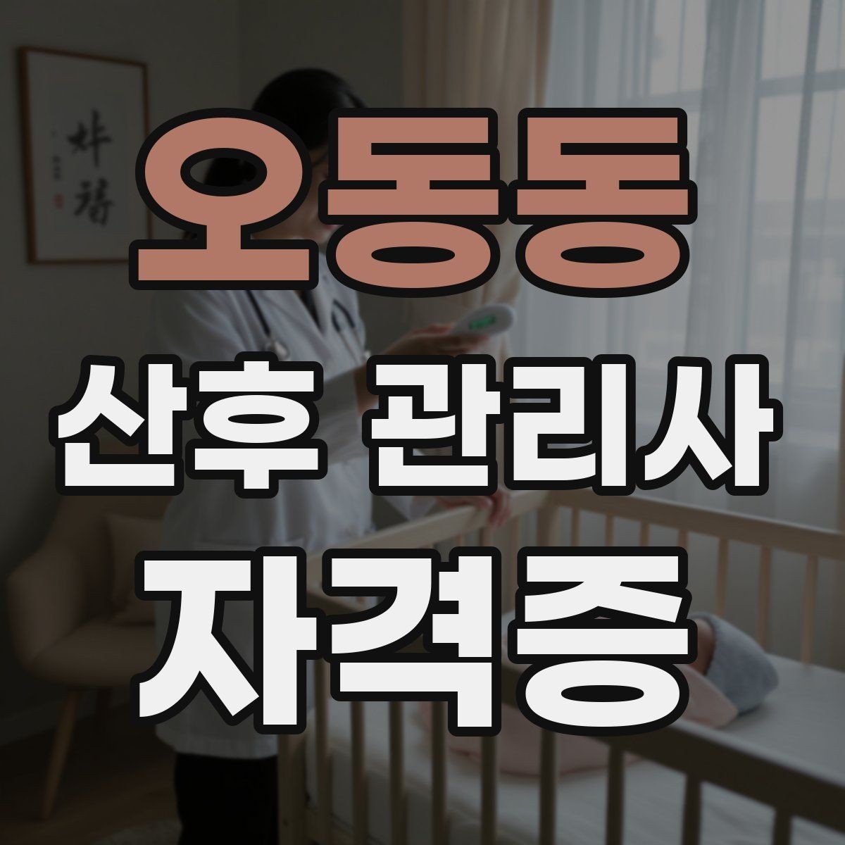 오동동 산후 관리사 자격증 가족과 역할 분담을 돕는 방법