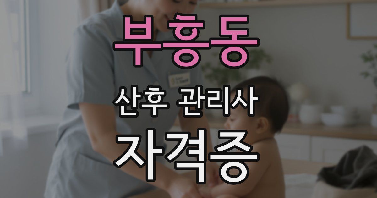부흥동 산후 관리사 자격증