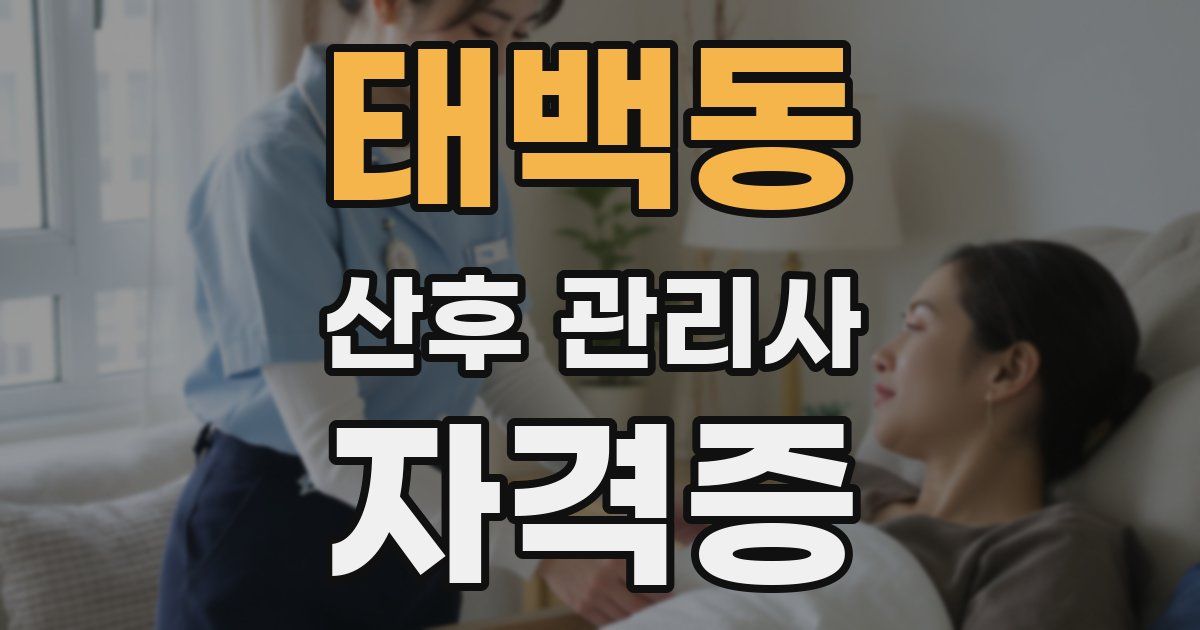 태백동 산후 관리사 자격증