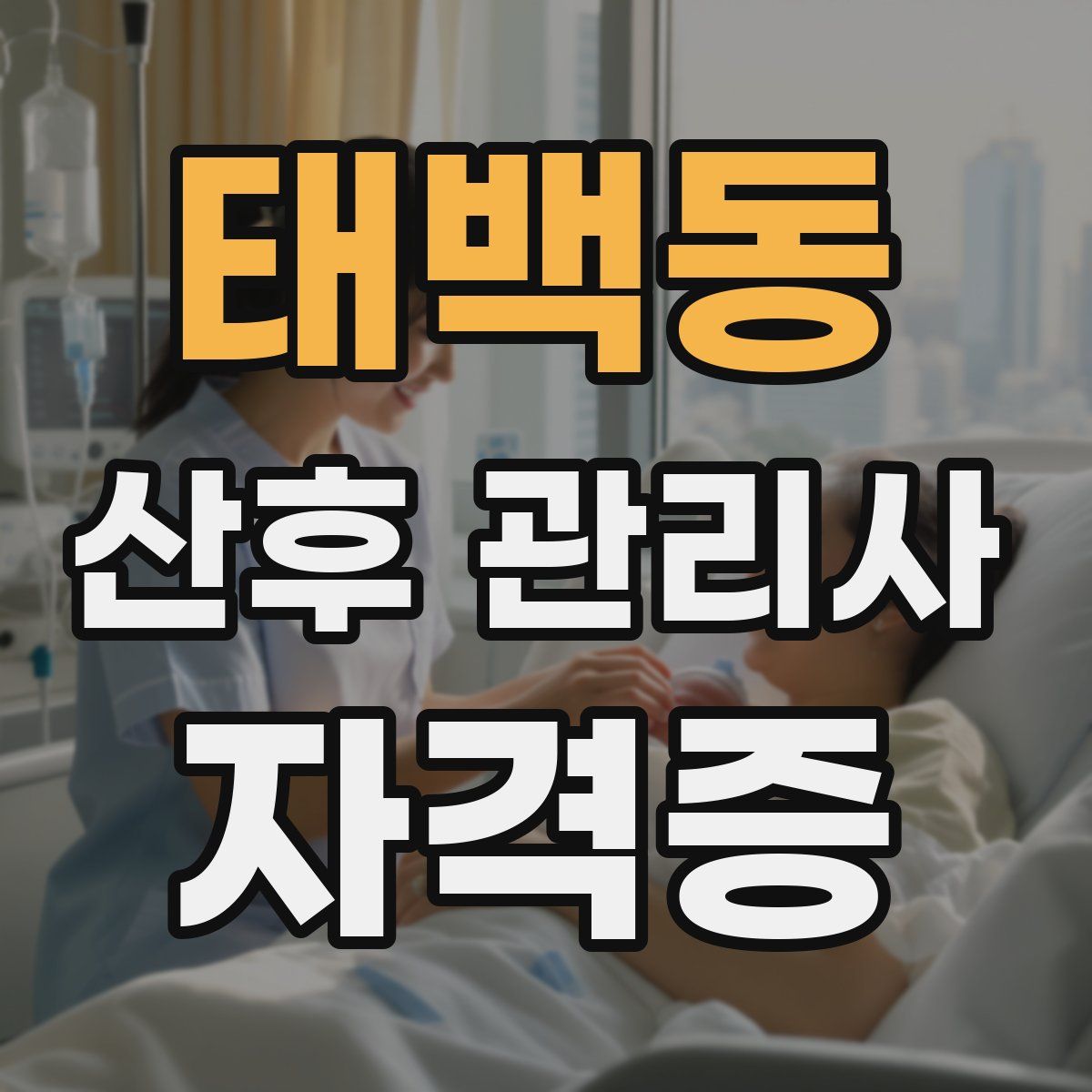 태백동 산후 관리사 자격증