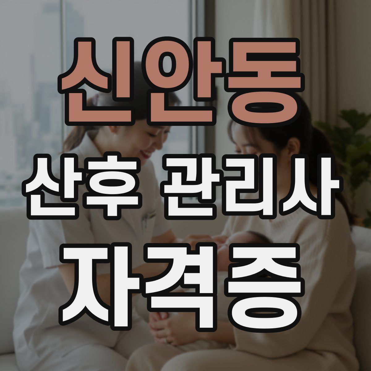 신안동 산후 관리사 자격증