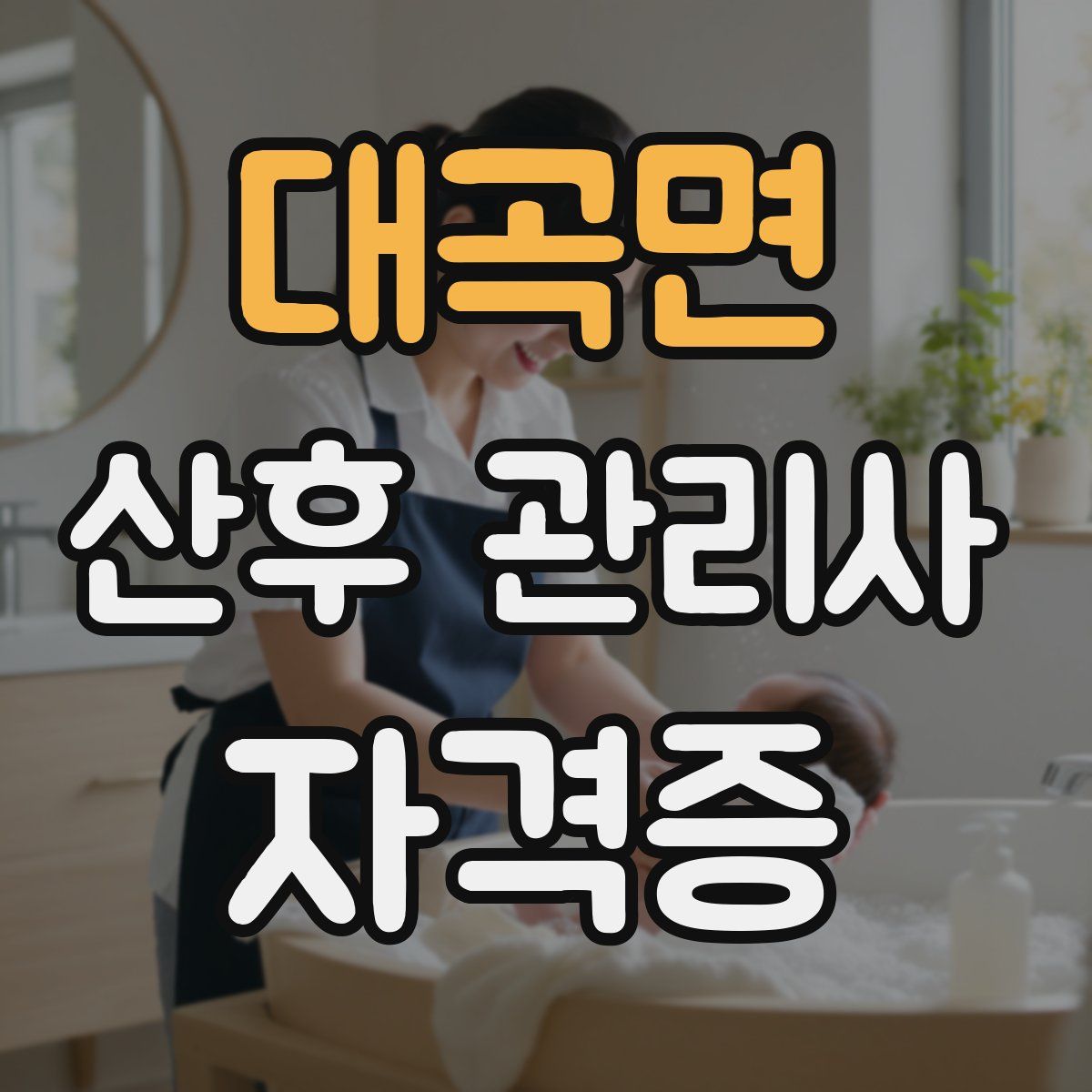 대곡면 산후 관리사 자격증