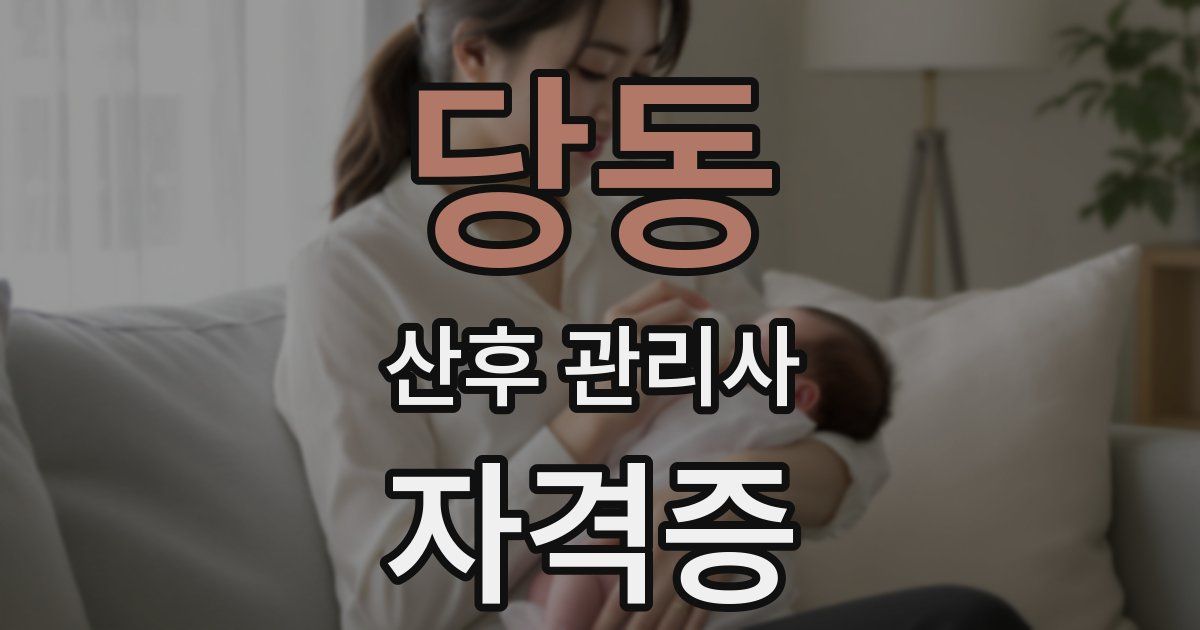 당동 산후 관리사 자격증
