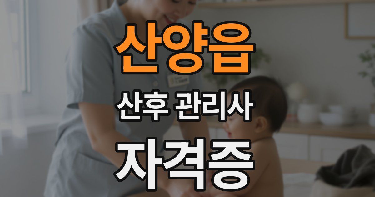 산양읍 산후 관리사 자격증