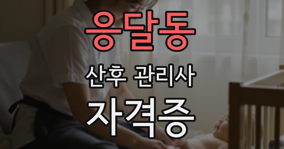 응달동 산후 관리사 자격증