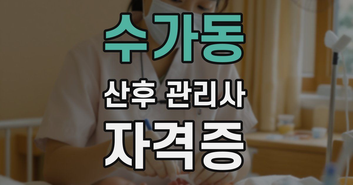 수가동 산후 관리사 자격증