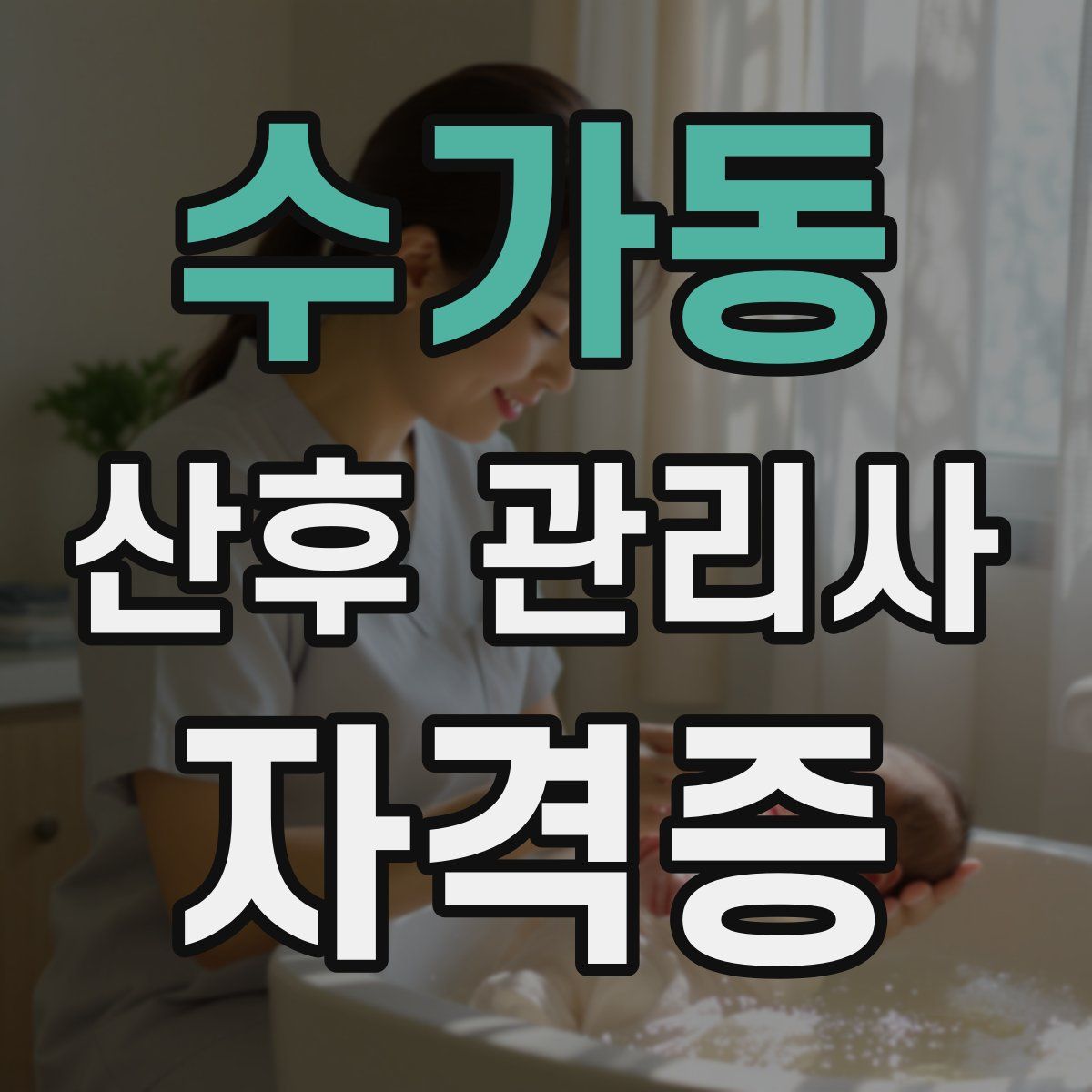 수가동 산후 관리사 자격증