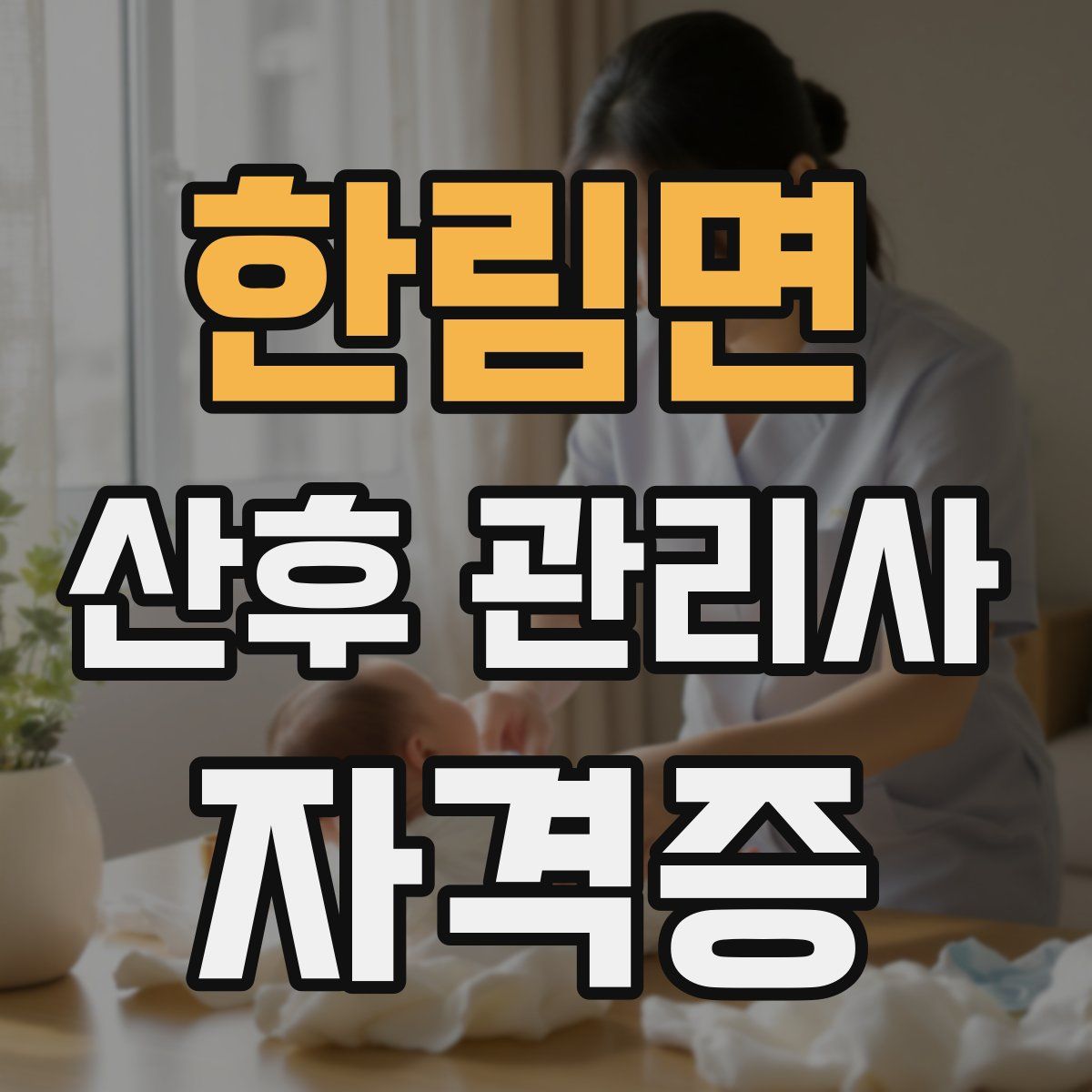 한림면 산후 관리사 자격증