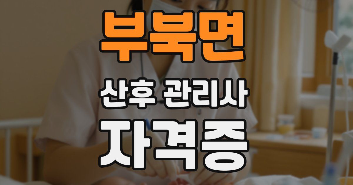 부북면 산후 관리사 자격증