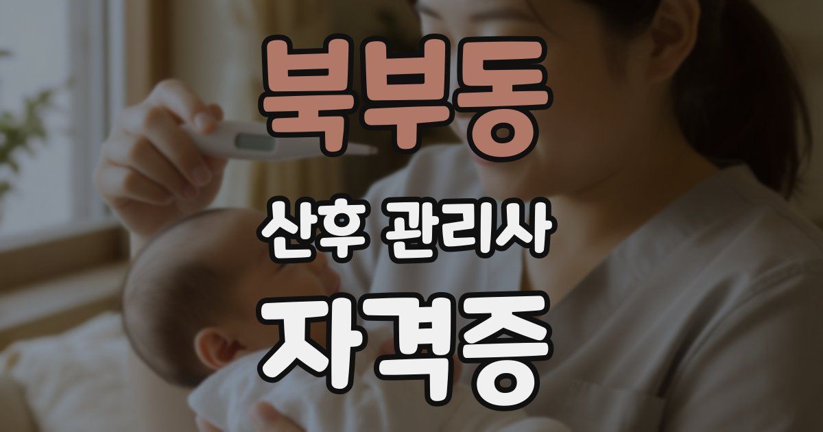 북부동 산후 관리사 자격증
