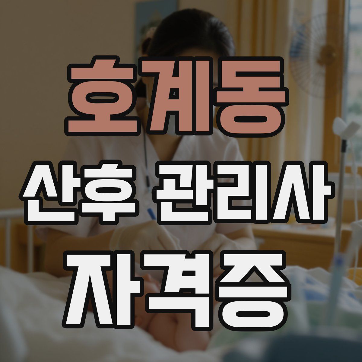 호계동 산후 관리사 자격증