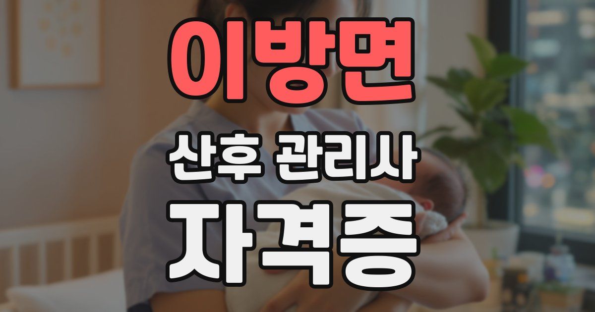 이방면 산후 관리사 자격증